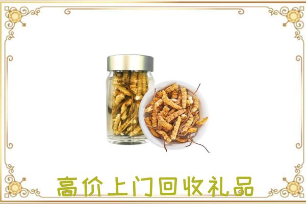 云龙区周边回收虫草